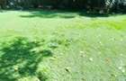 5.2 ac Land at Off Mandera Road - 6