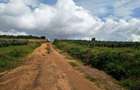 Land in Vipingo - 10