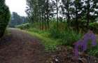1 ac Land at Karen Road - 12
