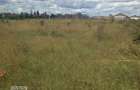 0.125 ac Commercial Land at Katani Shopping Centre - 3