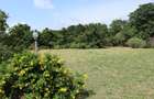 10,890 ft² Land in Nyali Area - 4