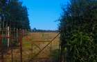 10 ac Land at Mweiga - 8