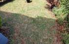 4 Bed House with En Suite in Kitisuru - 17