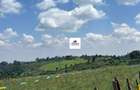 16.5 ac Land in Tigoni - 4