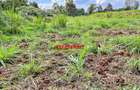 7.5 ac Land in Kikuyu Town - 8