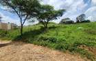 0.2 ha Commercial Land at Merisho Road - 7