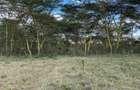 139 ac Land in Naivasha - 4