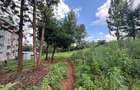 0.5 ac Land in Ngong - 9