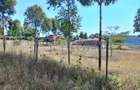 0.1 ac Residential Land at Kikuyu - 6