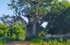 Land in Vipingo - 3