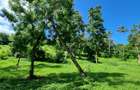 2.5 ac Land at Mtwapa Creekside - 16