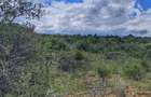 10 ac Land in Nanyuki - 5