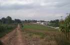 Land in Tigoni - 1