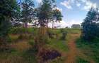 0.25 ac Commercial Land at Nairobi-Nakuru Highway At Kiambaa - 3