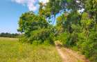 Residential Land in Kilifi - 13