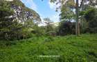 4.8 ac Land in Lower Kabete - 5