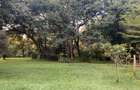Residential Land at Kitisuru - 1