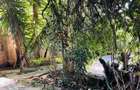 0.75 ac Land in Riverside - 12