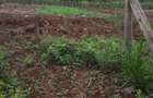 486 m² Residential Land in Ngong - 1