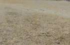 Land in Malaa - 5