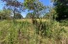 Land in Runda - 3