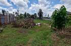 Residential Land at Flem Tree Off Ruaka Road - 12