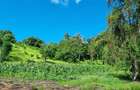 2.5 ac Land at Mtwapa Creekside - 13