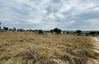 Residential Land in Athi River - 1