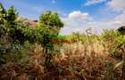 0.05 ha Commercial Land in Kikuyu Town - 7