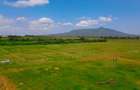 0.125 ac Residential Land in Naivasha - 4