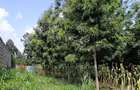 Residential Land in Kikuyu Town - 9