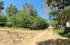 5 ac Land at Mtepeni - 4