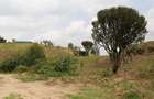 0.25 ac Residential Land at Nakuru - 2
