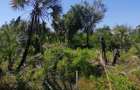 0.115 ac Land in Diani - 7