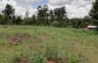 0.05 ha Land in Kikuyu Town - 5