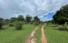 0.25 ac Land in Vipingo - 3