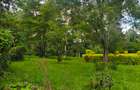 Residential Land at Hardy Area - 14
