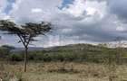 9.7 ac Land in Nanyuki - 5