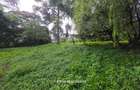 4.8 ac Land in Lower Kabete - 5