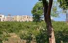 5 ac Land at Utalii -Campus - Vipingo - 6