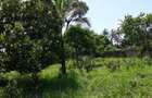 2,024 m² Residential Land in Bamburi - 3