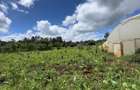 0.5 ac Residential Land in Karen - 14