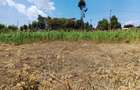 500 m² Residential Land at Gitutha - 14
