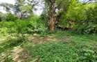 Residential Land at Runda Grove - 1