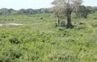 1,012 m² Residential Land at Diani Beach Road - 8