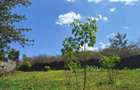 0.125 ac Residential Land at Runda - 4
