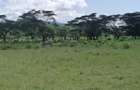 Commercial Land in Naivasha - 3