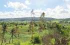 Land at Vipingo - 2