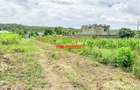 0.05 ha Residential Land at Thigio - 5