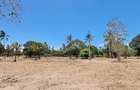 1 ac Land at Creek Beach Side - 11